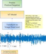 SiGra: single-cell spatial elucidation through an image-augmented graph transformer